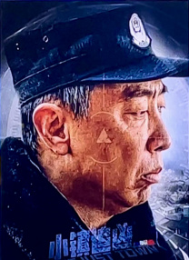 日本熟少妇
